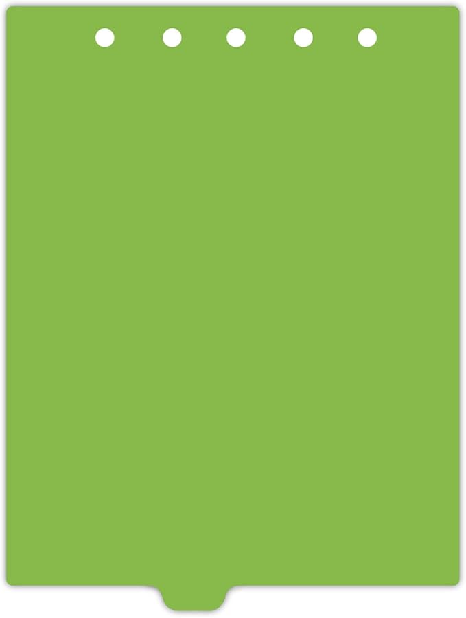 Carstens - Heavy Duty Plastic Ring Binder Dividers, Bottom Tab, 1/9 Cut, Tab 4 Position, US Letter, Apple Green, Pack of 10, (2619-24) - Ideal Medical Chart Dividers or Index Tabs for 3 Ring Binders
