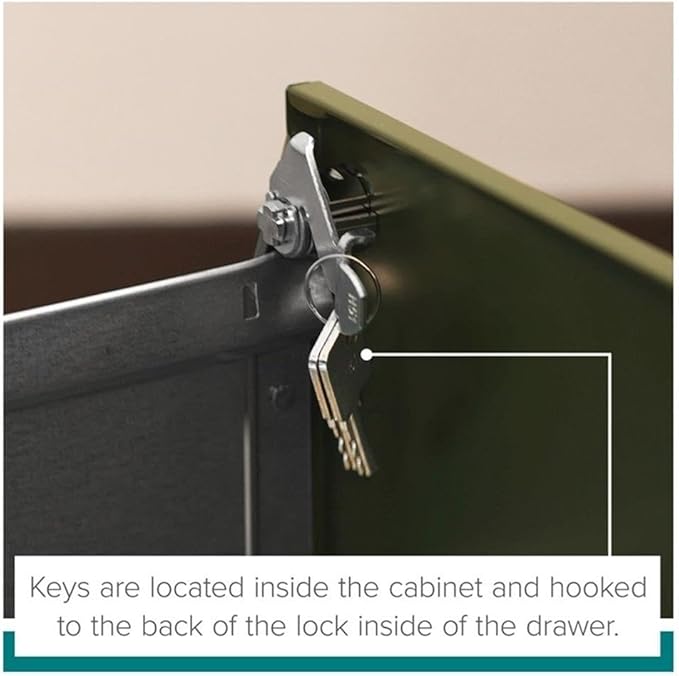 Pemberly Row 2 Drawers 26.7" Vertical Black Metal Filing Cabinet Lockable Pre-Assembled Stationary Letter Size for Home, Office