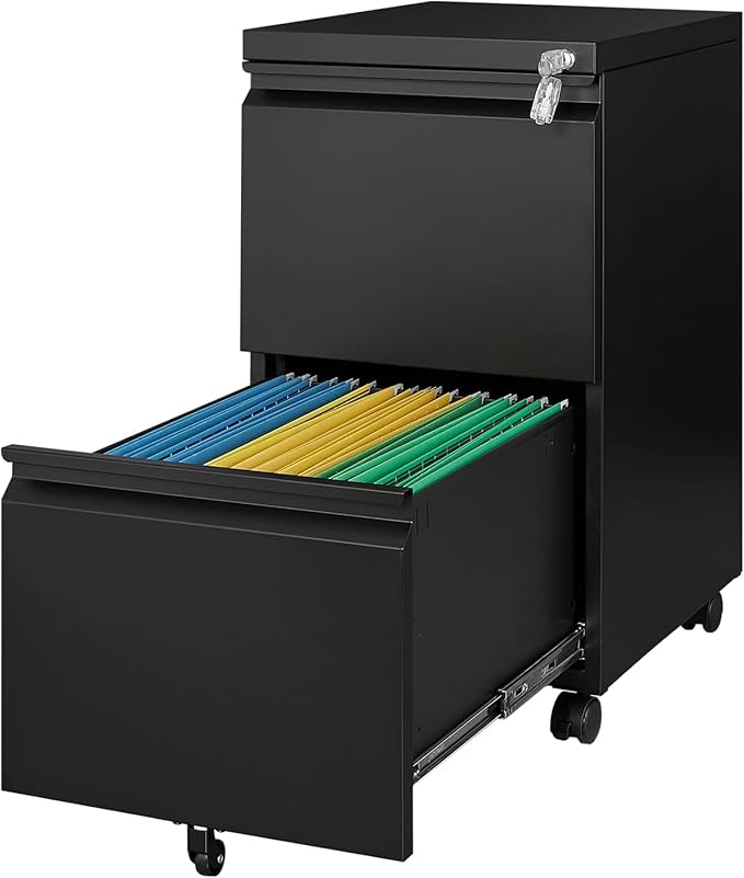 2 Drawer Metal File Cabinet with Lock, Rolling File Cabinets with Lock for A4/Legal/Letter Size, Under Desk Filing Cabinet for Home Office Assembly Required(Black)