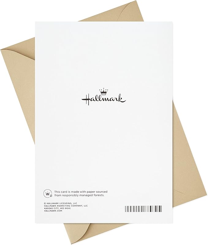 Hallmark Birthday Card for Husband or Boyfriend (A Gift Every Day)