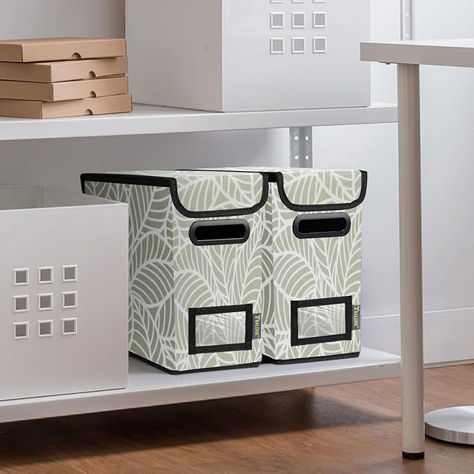 BALEINE File Organizer Box with Lid, Collapsible File Folder Organizer with Plastic Slide, Hanging File Folder Box for Office Document Storage (2 Pack, Antique Foliage, S)