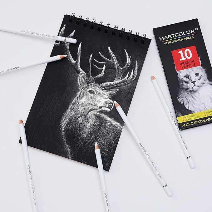 Professional White Charcoal Pencils Set, 10 Pieces Sketch Highlight Charcoal Pencils for Drawing, Sketching, Shading, Blending, White Chalk Pencils for Beginners & Artists