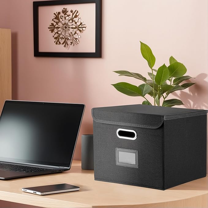 File Organizer Box with Lid, Collapsible File Folder with Plastic Slide for Office/Decor/Home, Hanging Office Document Storage, 14.9 6x 12.6 x 10.83 inch,1 pack - without folders,Black