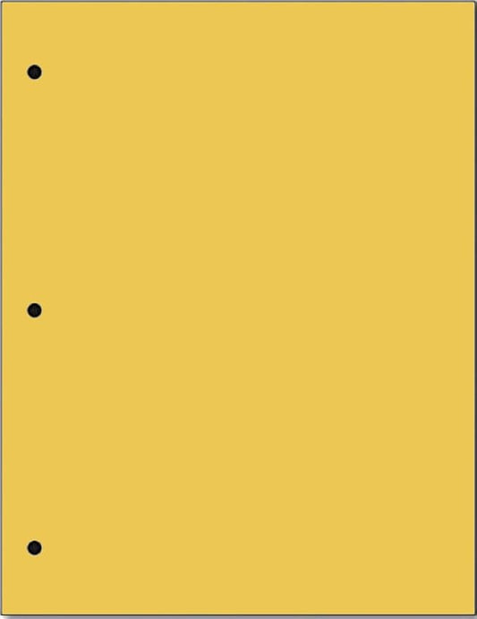 Copy And Printing Color Paper, 20 Lb. 3 Hole Punch 500 Sheets Per Ream. (Gold)