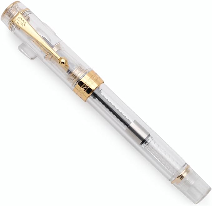 JINHAO 100 Fountain Pen with Ink Converter (Medium Nib 0.7mm, Transparent)