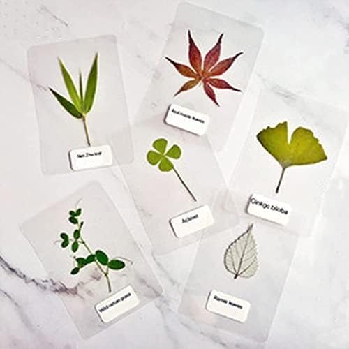 Coopaty Thermal Laminating Pouches, 9 x 11.5-Inches, 5mil, 100 Pack