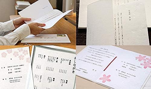 Washi Paper Printable B4 Printer Paper (50 Sheets), TAIREISHI Japanese Paper for Printing, Multipurpose Copy Paper for Laser and Inkjet Printers, Made in JAPAN (47307)
