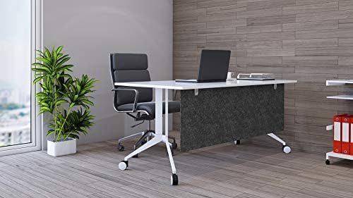 OBEX Modesty Desk PET Privacy Screen Acoustic Sound Absorbing Panel Ideal for Reception, Student Table or Office Cubicles Workstations, 12" x 48", Shadow