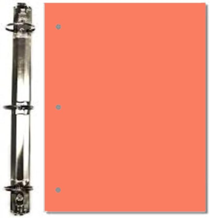 Copy And Printing Color Paper, 20 Lb. 3 Hole Punch 500 Sheets Per Ream. (Salmon)