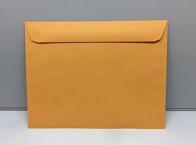 Limited Papers (TM) Booklet Envelopes, (Open Side) Brown Kraft, Gummed Seal, 28 Pound, Heavyweight, For Mailing And More. (250, 10 x 15)
