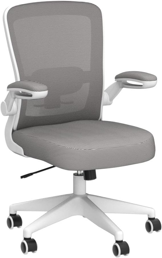 FelixKing Ergonomic Office Chair, Adjustable Height, Breathable Mesh Fabric, Lumbar Support, Gray