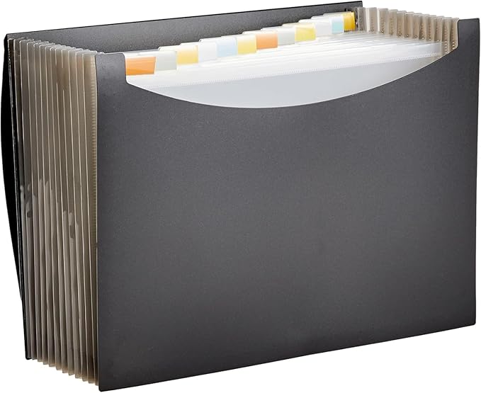 Amazon Basics Expanding Organizer File Folder, Letter Size - Black, 1-Pack