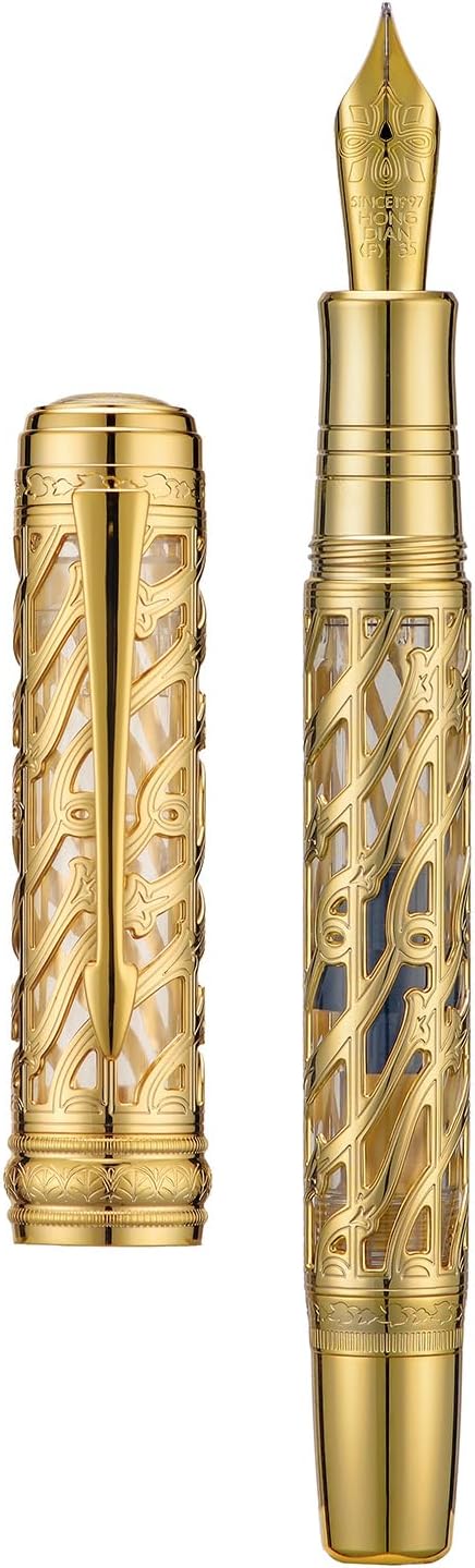 Hongdian A6 Piston Fountain Pen Extra Fine Soft Nib, Golden Hollow Skeleton & Transparent Resin Pen with Metal Case Set