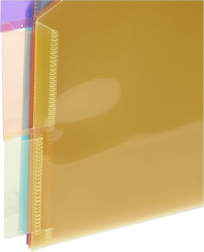 Amazon Basics Tab Dividers for 3 Ring Binder, Two Pocket, Letter Size, Assorted Colors, 5 Count