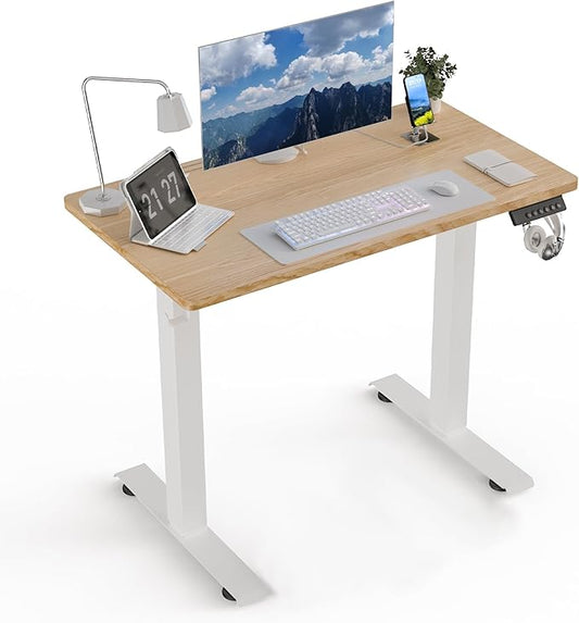 35 * 20 Electric Standing Desk, Adjustable Height Sit Stand Up Desk, Motorized Home Office Computer Gaming Workstation Desk