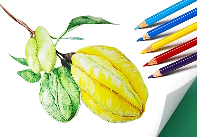 SKKSTATIONERY 144Pcs Colored Pencils, Pre-sharpened, coloring pencils for adults kids Bulk Back to School Supplies For Teachers 12 Colors, 12pcs/box, Total: 144Pcs.