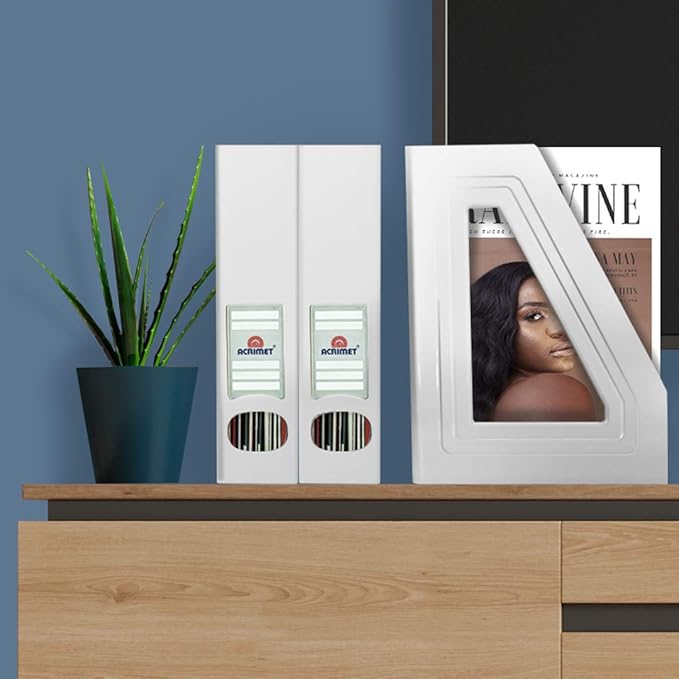 Acrimet Magazine File Holder, Durable Rack, Space-Saving Organizer (Plastic) (White Color) (2 pack)