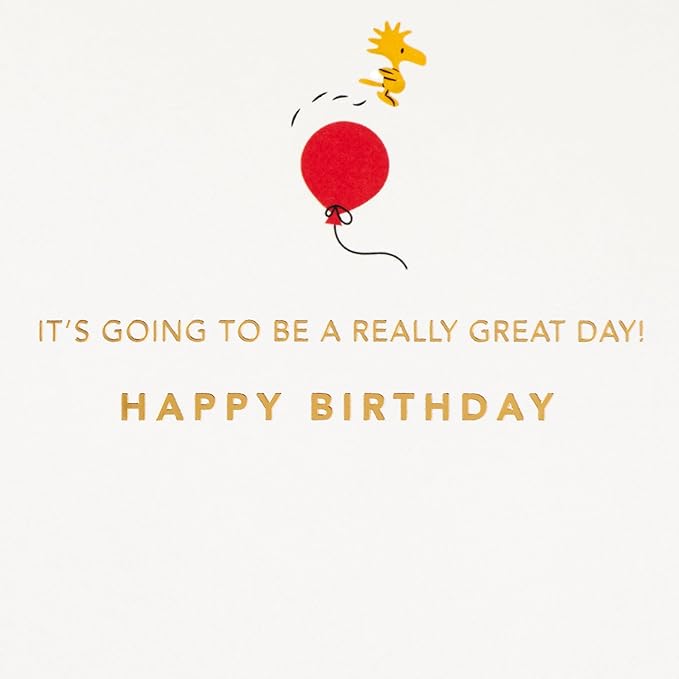Hallmark Signature Peanuts Birthday Card (Charlie Brown and Friends)