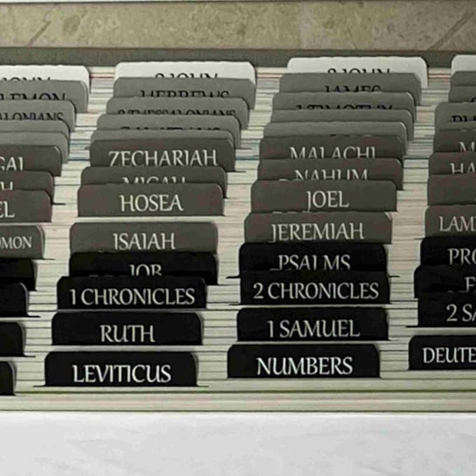 Thinkor Reposition Bible Tabs, Large Print Lanimated Stickers, Easy to Read and Apply Bible Tabs for Women and Man (Gray Green)