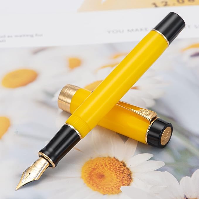 Jinhao 100 Fountain Pen Celluloid Classic Style, #6 Nib Smooth Writing Instrument with Refillable Converter and Pen Case Set