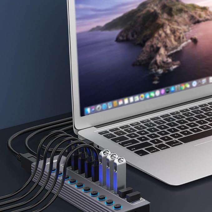 Powered 10-Port USB 3.0 Hub, USB C to 10 Ports USB Data Hub Splitter with Individual LED On/Off Switche, 3.3FT Cable, 12V/3A Power Adapter, for Laptop MacBook Pro/Air PC (Aluminum Gary)