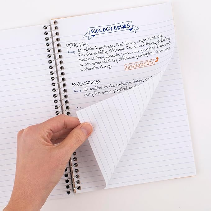 Five Star Spiral Notebook, 2 Subject, College Ruled, 9 1/2" x 6" 80 Sheets, Sedona Orange (840029CD1-ECM)