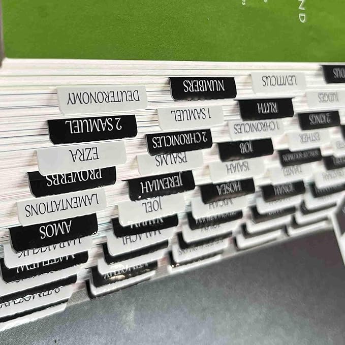 Thinkor Reposition Bible Tabs, Large Print Lanimated Stickers, Easy to Read and Apply Bible Tabs for Women and Man (Checkerboard Style)