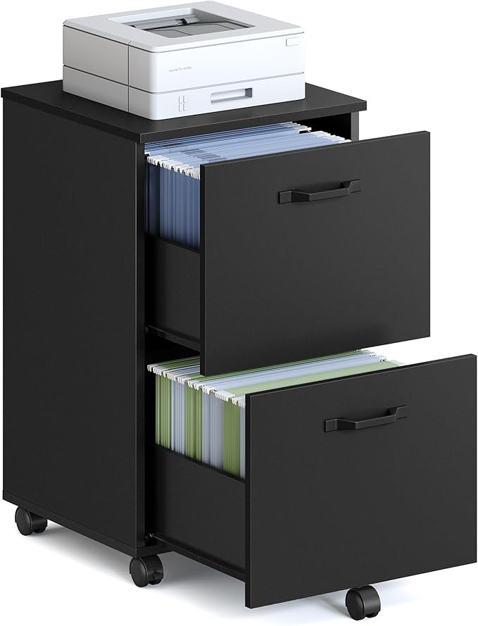 VASAGLE 2-Drawer File Cabinet, Small Rolling Filing Cabinet for Home Office, Printer Stand, for A4, Letter-Size Documents, 15.7 x 16.5 x 27.6 Inches, Matte Black UOFC040B16