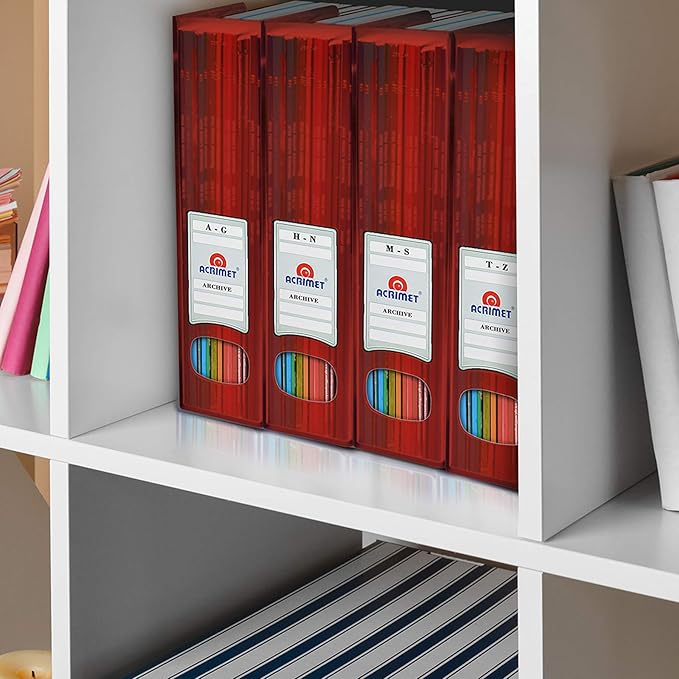 Acrimet Magazine File Holder, Durable Rack, Space-Saving Organizer (Plastic) (Clear Red Color) (2 Pack)