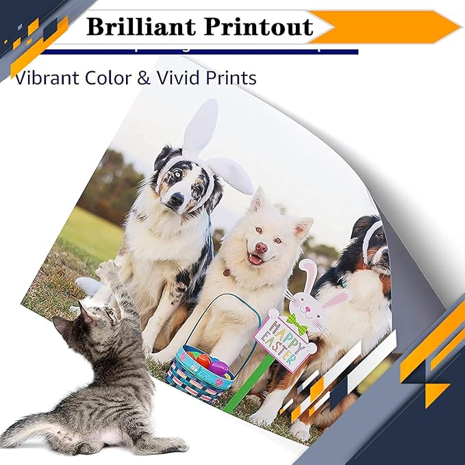 PG-260XL CL-261XL PG260 PG-260 CL261 CL-261 Ink Cartridges, Compatible for Canon TS6420a TS6420 TR7020a TR7020 TS5320 All in One Printers【High Print Volume with Chip Black*2