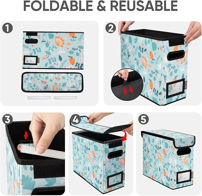 BALEINE File Organizer Box with Lid, Collapsible File Folder Organizer with Plastic Slide, Hanging File Folder Box for Office Document Storage (2 Pack, Spring Stroll, S)
