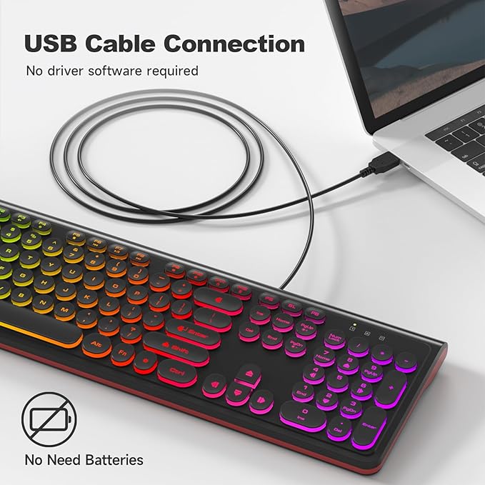 USB Wired Computer Keyboard with Backlit - Full Size Office Keyboard with Number Pad, Caps Indicators, Foldable Stands, for PC Laptop Desktop Windows 7 8 10 11 (Black)