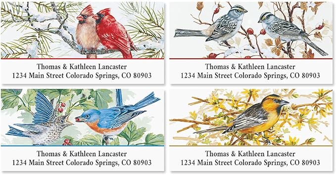 Colorful Images Garden Friends Birds Return Address Mailing Labels, Personalize with Name & Addresses, Set of 144 Self Adhesive, Easy Peel Flat Label Sheets, 1 ⅛ x 2 ¼”, 6 Designs