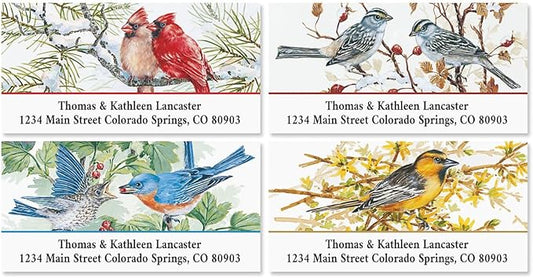 Colorful Images Garden Friends Birds Return Address Mailing Labels, Personalize with Name & Addresses, Set of 144 Self Adhesive, Easy Peel Flat Label Sheets, 1 ⅛ x 2 ¼”, 6 Designs