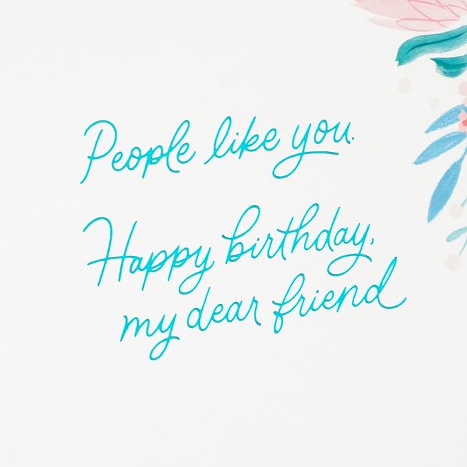 Hallmark Birthday Card for Friend (People Like You)