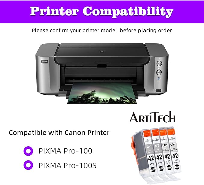 CLI-42 Pixma Pro-100 Ink Replacement for Canon CLI42 GY CLI-42 LGY Compatible Ink Cartridge Use for Pixma Pro-100 Pro-100s Printers 4 Value Pack (2 Gray, 2 Light Gray)