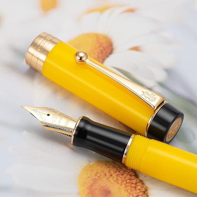 Jinhao 100 Fountain Pen Celluloid Classic Style, #6 Nib Smooth Writing Instrument with Refillable Converter and Pen Case Set