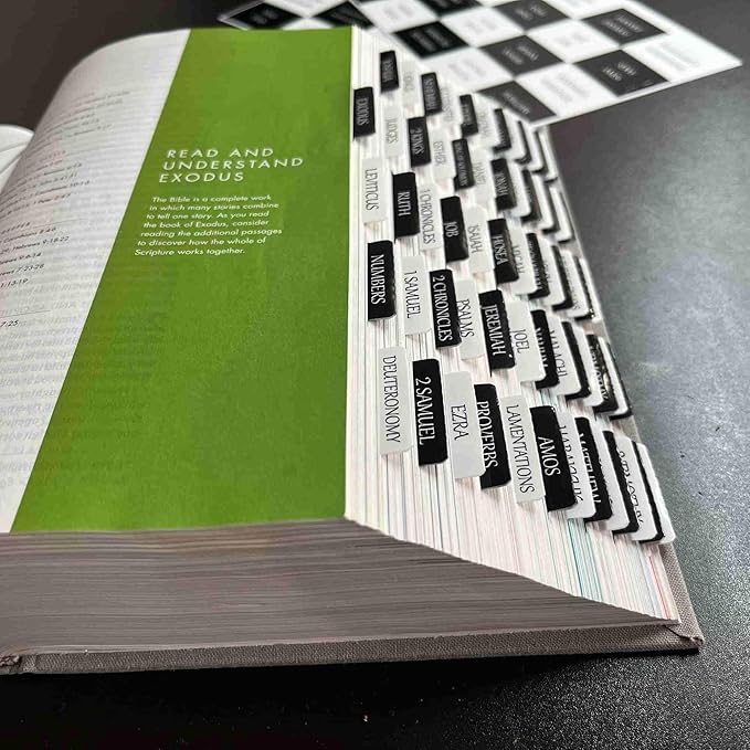 Thinkor Reposition Bible Tabs, Large Print Lanimated Stickers, Easy to Read and Apply Bible Tabs for Women and Man (Checkerboard Style)