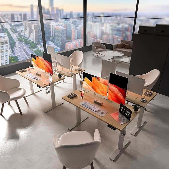 48 * 24 Electric Standing Desk, Adjustable Height Sit Stand Up Desk, Motorized Home Office Computer Gaming Workstation Desk