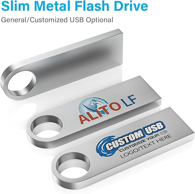 ABLAZE Custom Flash Drive 128GB 10 Pack, Personalized USB with Your Logo Metal Thumb Drives USB 2.0 Memory Stick Pendrive (Sliver)