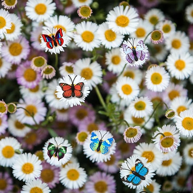 GOUWEIBA 40 Packs Decorative Thumb Tacks - Cute Push Pins Colorful Pushpins for Photo Wall Cork Board Bulletin Board Home Office Decor Cubicle Decorations (Butterfly)