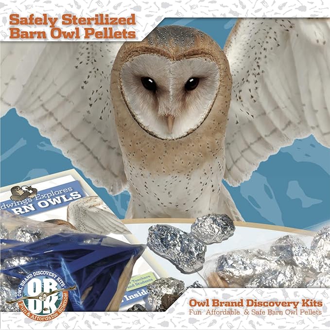 OBDK Barn Owl Pellets for Dissection - 1 Pack Small Sized (1.0-1.5") with Tools, Guide and Charts from Owl Brand Discovery Kits