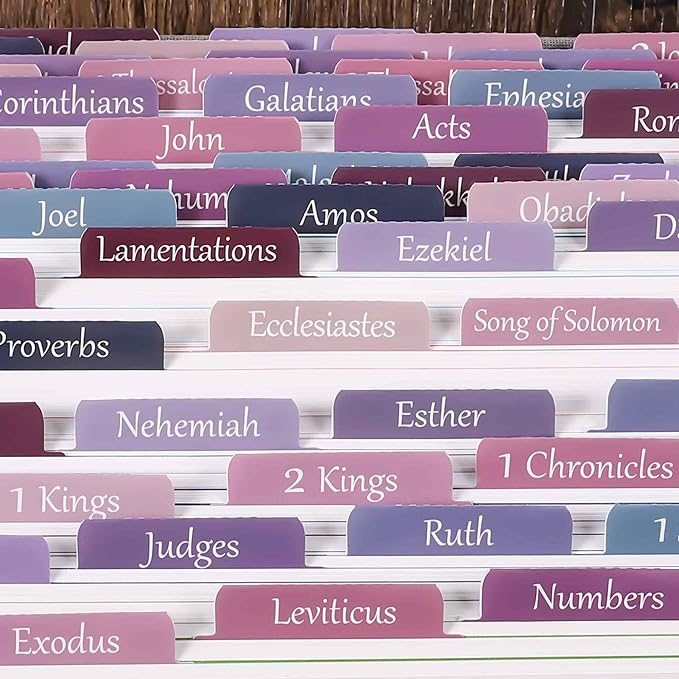 Thinkor Laminated & Repostion Bible Tabs, Large Print Christian Gift for Women and Men, Easy to Read and Apply Bible Journaling Tabs (Purple & Pink Print)