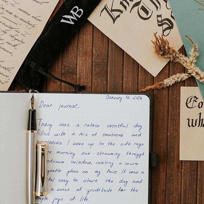 Wordsworth & Black Fountain Pen Set, 18K Gilded Extra Fine Nib, Includes 24 Pack Ink Cartridges, Ink Refill Converter & Gift Pouch, Gold Finish, Calligraphy, [Silver Gold], Perfect for Men & Women