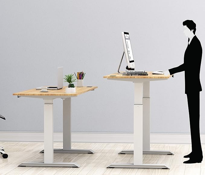 SHW 48-Inch Electric Height Adjustable Standing Desk with Drawer, Memory Preset and Cable Management Tray, Oak