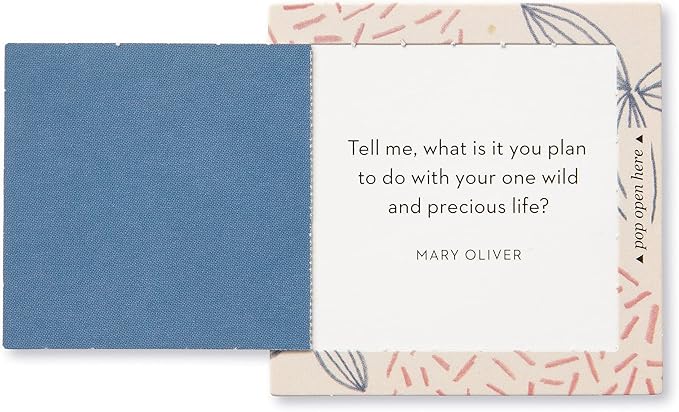 Compendium ThoughtFulls Pop-Open Cards — Inspire Her — 30 Pop-Open Cards, Each with a Different Inspiring Message Inside