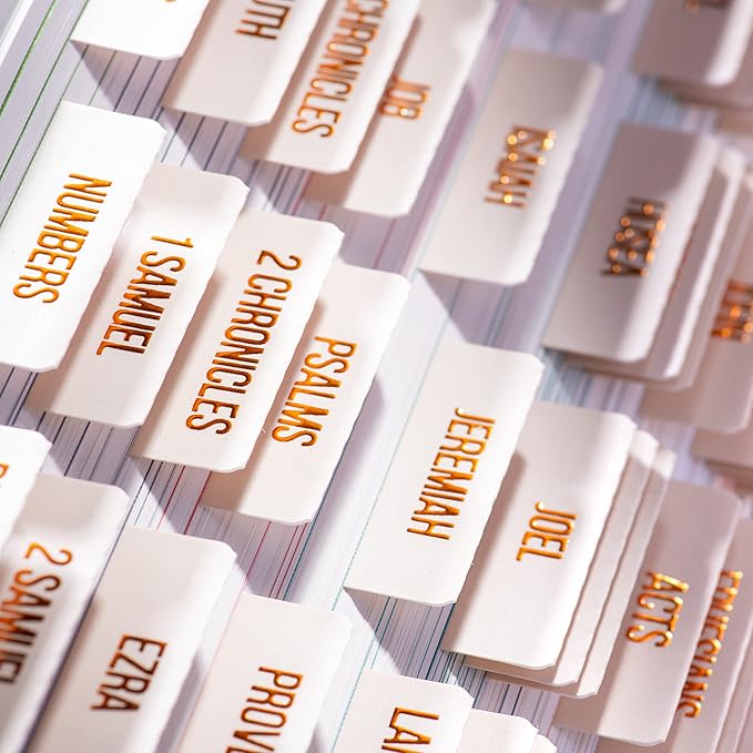 DiverseBee Laminated Bible Tabs (Copper Embossed Lettering), Bible Journaling Supplies, Bible Book Tabs, Christian Gift, 73 Bible Tabs for Women and Men, Includes 4 Blank Tabs (Alabaster)