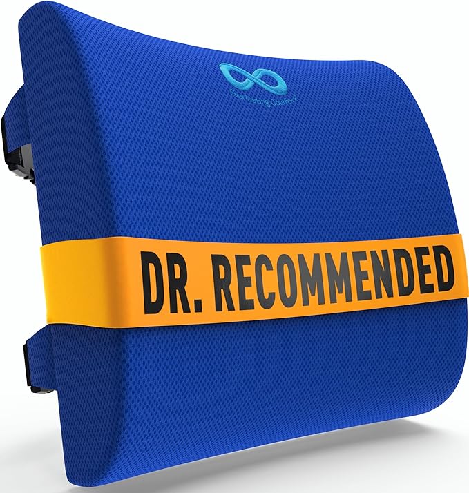 Everlasting Comfort Lumbar Support Pillow for Office Chair - Memory Foam Back Cushion for Chair, Car, Couch - Lumbar Pillow Promotes Better Posture, Back Pain Relief - Ideal for Gaming and Desk Chairs