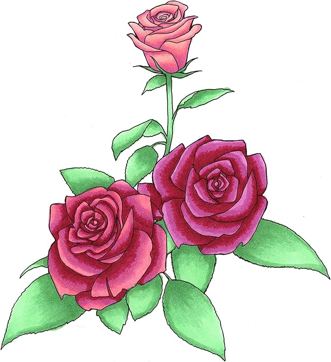 Copic Sketch Alcohol Markers, 6 Color Dual Tip Art Marker Set – Blendable Brush Tips for Drawing, Sketching, and Illustration – Professional Set for Adults/Teen Artists & Creators - Floral Favorites 1