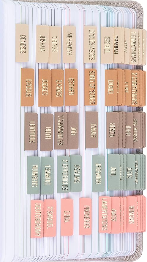 DiverseBee Laminated Bible Tabs (Gold Embossed Lettering), Bible Journaling Supplies, Bible Book Tabs, Christian Gift, 73 Bible Tabs for Women and Men, Includes 4 Blank Tabs (Meadow)